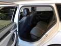 Volkswagen Passat Variant 2.0 TDI Business AHK Navi Kamera Weiß - thumbnail 6