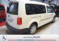 Volkswagen Caddy Maxi Trendline 2.0 TDI BMT EU6d-T rollstuhlgerecht Weiß - thumbnail 3
