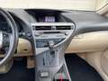 Lexus RX 450h 4WD Luxury Line Pano | Memory | Dealer ondh. | Gris - thumbnail 16