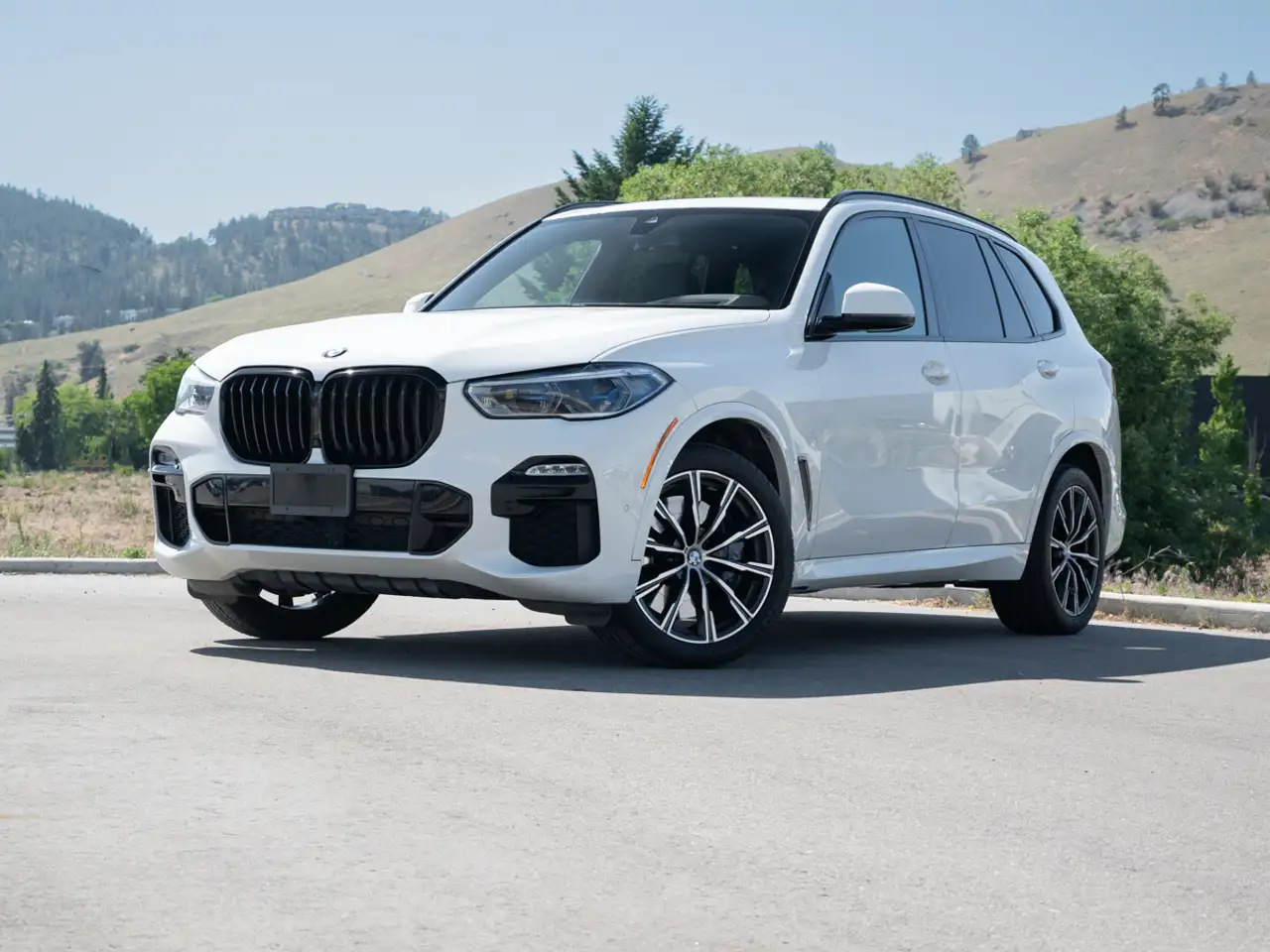 2019 BMW X5