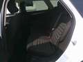 Ford Mondeo Traveller Trend 2,0 TDCi Start/Stop Weiß - thumbnail 11