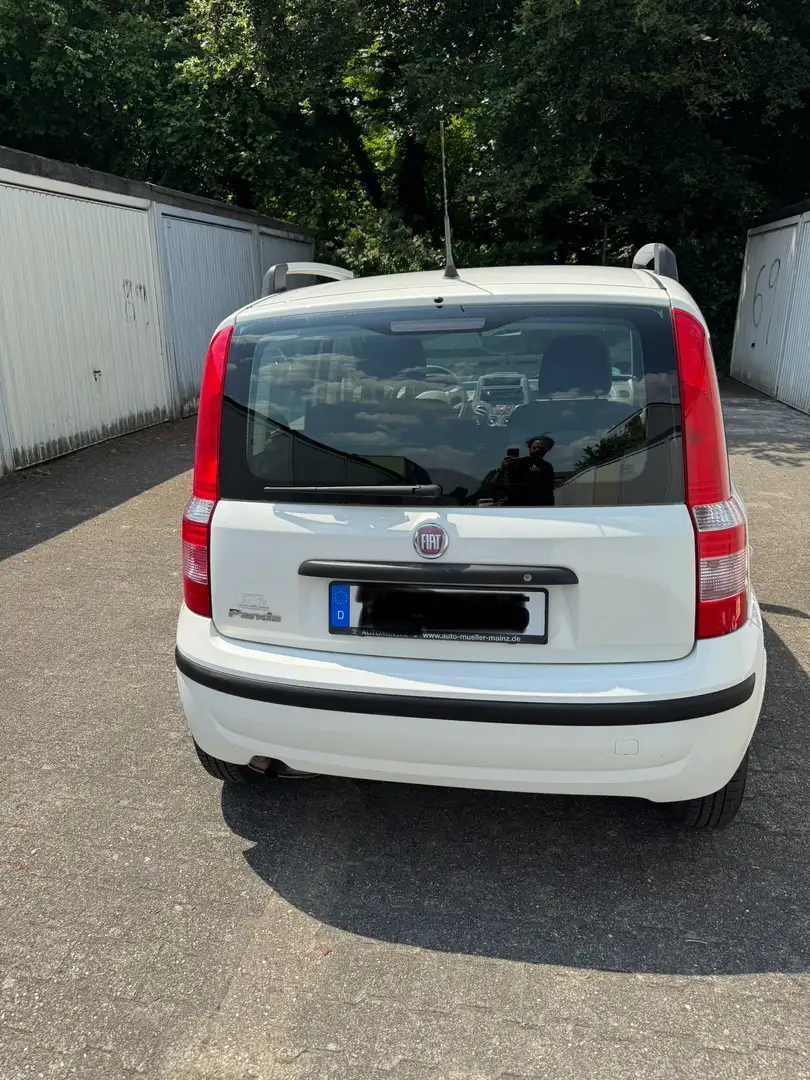 Fiat Panda 1.2 Unfallfrei. VB Weiß - 1