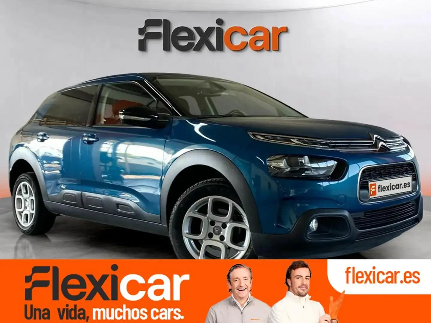 Citroen C4 Cactus PureTech 81KW (110CV) S&S Feel Blu/Azzurro - 1
