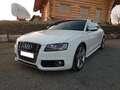 Audi S5 S5 Sportback S tronic Biały - thumbnail 3