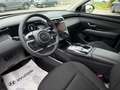 Hyundai TUCSON Tucson 1.6 hev Xline 2wd auto - thumbnail 11
