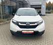 Honda CR-V e:HEV 2.0 i-MMD Hybrid 4WD Sport Line Blanc - thumbnail 11