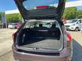Ford Focus Turnier 2.0 EcoBlue Vignale AHK*PANO*ACC Rouge - thumbnail 7