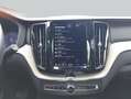 Volvo XC60 XC60 B4 D Geartronic Inscription Grau - thumbnail 14