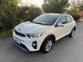 Kia Stonic 1,25MPI 4Zylinder Sitzheizung RKamera CarPlay Weiß - thumbnail 4