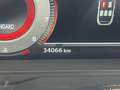 Nissan Qashqai Qashqai III 2021 1.3 mhev Tekna 2wd 140cv Bianco - thumbnail 4
