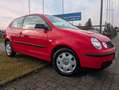 Volkswagen Polo IV Basis*SERVO !! Rot - thumbnail 9