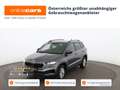 Skoda Karoq 2.0 TDI Ambition LED NAVI R-CAM LEDER TEMP Grau - thumbnail 1