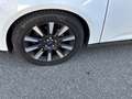 Ford Focus Turnier 1.6 TDCi DPF Start-Stopp-System Trend - thumbnail 12