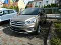 Ford Kuga Titanium Beige - thumbnail 1