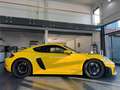 Porsche Cayman 718 Cayman GT4 RS PDK Clubsport/Lift/Chrono/Led Giallo - thumbnail 10