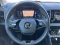Skoda Karoq 2.0 TDI DSG Ambition 4x4 AHK ACC Kam Blanco - thumbnail 14