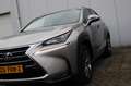 Lexus NX 300h AWD 25th Edition Gris - thumbnail 10