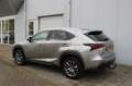 Lexus NX 300h AWD 25th Edition Gris - thumbnail 2