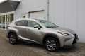 Lexus NX 300h AWD 25th Edition Gris - thumbnail 4