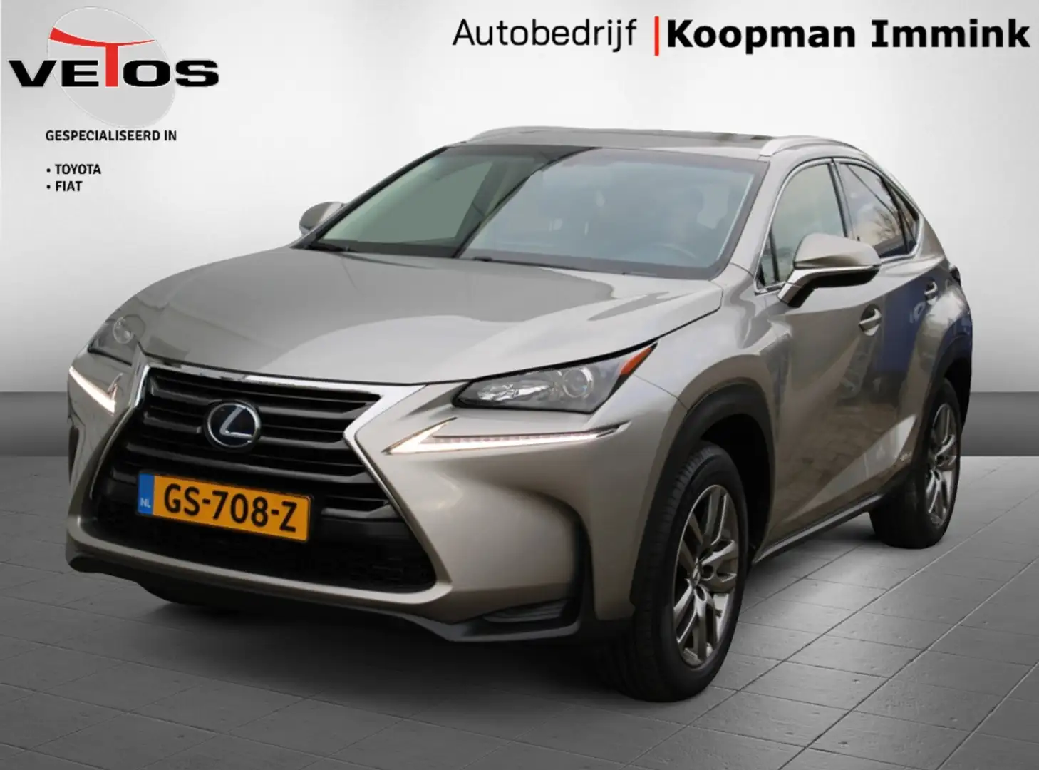 Lexus NX 300h AWD 25th Edition Gris - 1