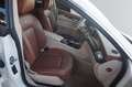 Mercedes-Benz CLS 500 4Matic AMG-Line*Designo~Multi Mas~H&K Weiß - thumbnail 19