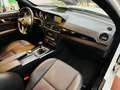 Mercedes-Benz C 200 CDI AMG Premium Sport Start&Stop Bianco - thumbnail 13
