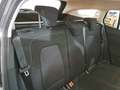 Ford Focus WAGON 1.5 Ecoblue 120cv Business Co-Pilot Auto - thumbnail 11
