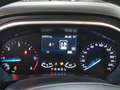 Ford Focus WAGON 1.5 Ecoblue 120cv Business Co-Pilot Auto - thumbnail 8