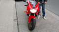 Ducati 750 Sport Boode de prijs vanaf € 1500 - thumbnail 10