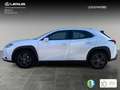 Lexus UX 250h Business Navigation 2WD Білий - thumbnail 3