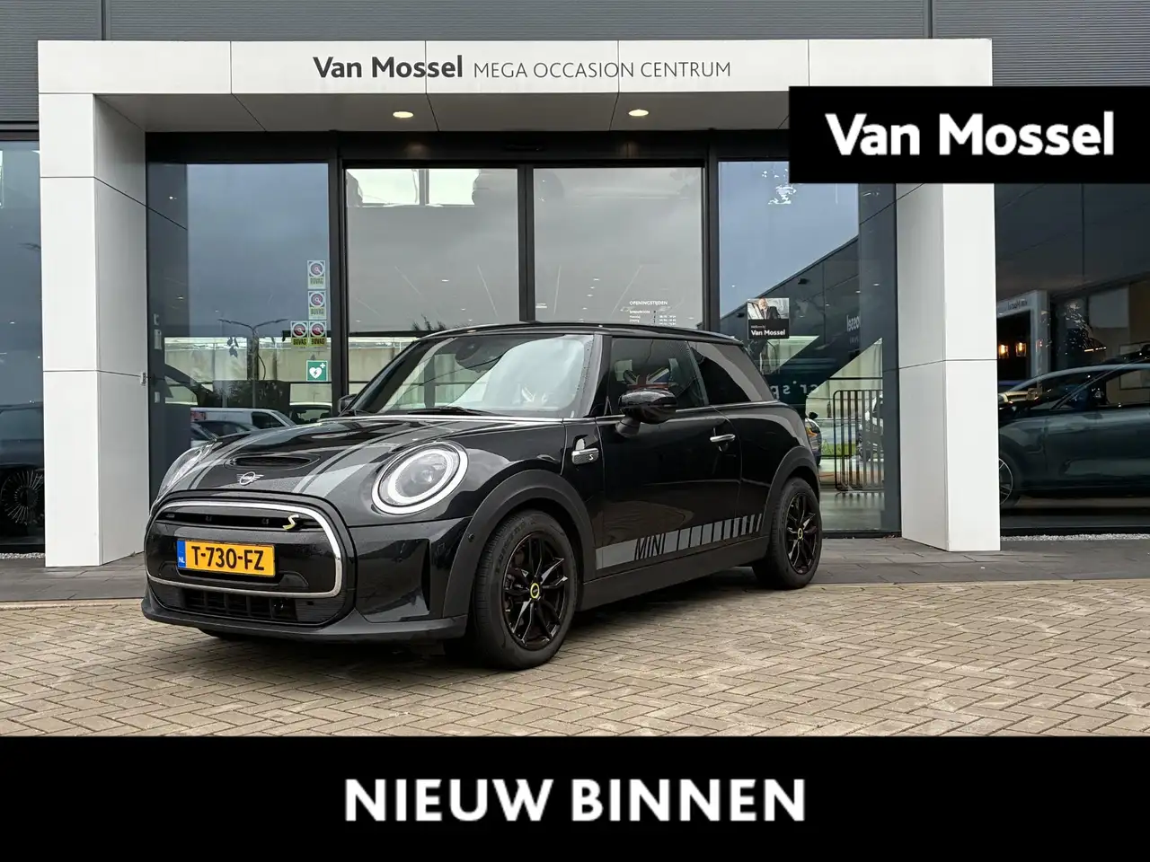 MINI Unknown