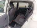 Suzuki Celerio Celerio 1.0i GL Airco boîte automatique Blanc - thumbnail 9