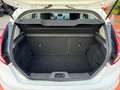 Ford Fiesta Plus 1.0 EcoBoost 100CV 5p Powershift EURO 6 ! Bianco - thumbnail 12