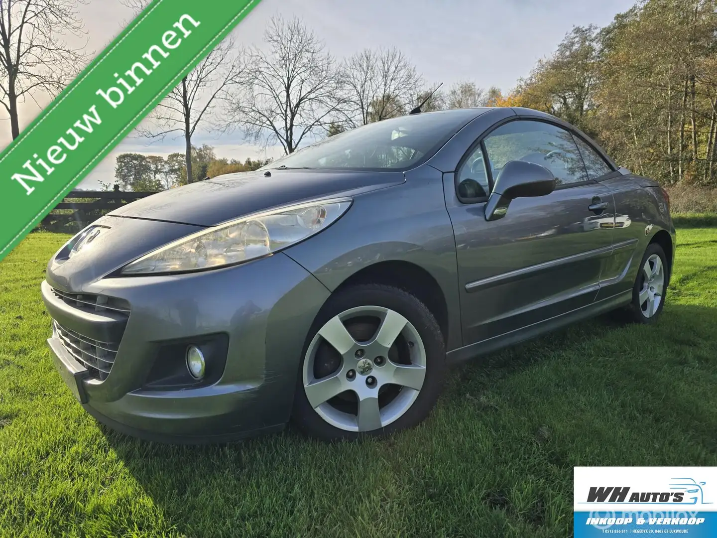 Peugeot 207 CC 1.6 VTi Duitste papieren - 1