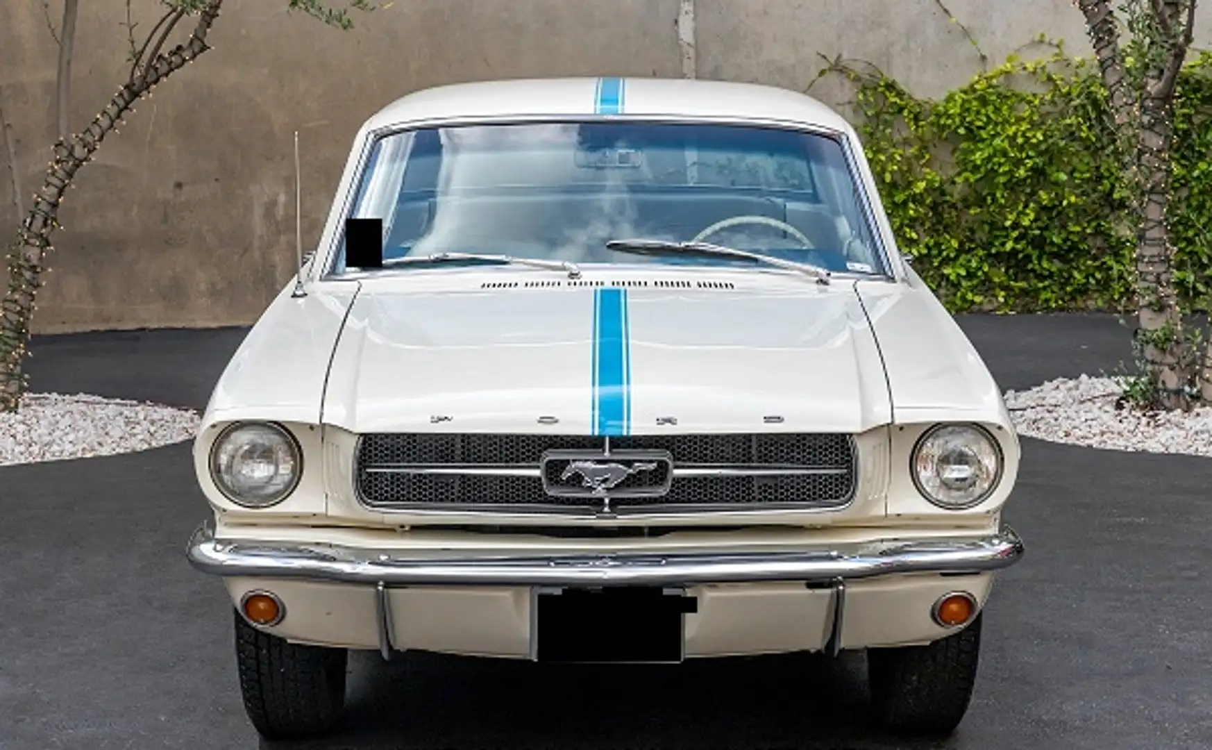 Ford Mustang Indy 500 Pace Car - 2