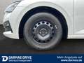 Skoda Scala Scala Active Cool Plus 1.0 TSI Sitzhzg Pdc BT Alb - thumbnail 8