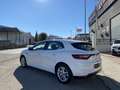 Renault Megane 1.5dCi Energy Business 81kW Blanco - thumbnail 18