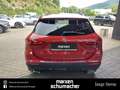 Mercedes-Benz GLA 220 GLA 220 d 4M Night+AHK+Kamera+Multibeam+AdvSound Rosso - thumbnail 6