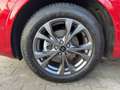Ford Kuga ST-Line X LED+AHK+Glasdach+Kamera+SHZ Rot - thumbnail 14