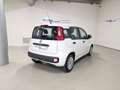 Fiat Panda Panda 1.2 EasyPower Easy GPL Bianco - thumbnail 5