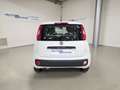 Fiat Panda Panda 1.2 EasyPower Easy GPL Bianco - thumbnail 6