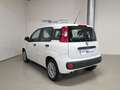 Fiat Panda Panda 1.2 EasyPower Easy GPL Bianco - thumbnail 7