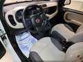 Fiat Panda Panda 1.2 EasyPower Easy GPL Bianco - thumbnail 10