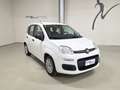 Fiat Panda Panda 1.2 EasyPower Easy GPL Bianco - thumbnail 3