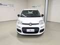 Fiat Panda Panda 1.2 EasyPower Easy GPL Bianco - thumbnail 2