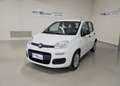 Fiat Panda Panda 1.2 EasyPower Easy GPL Bianco - thumbnail 1