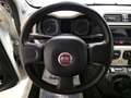 Fiat Panda Panda 1.2 EasyPower Easy GPL Bianco - thumbnail 13