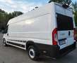 Fiat Ducato Maxi Multicab L4H2 - thumbnail 5
