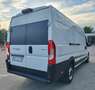 Fiat Ducato Maxi Multicab L4H2 - thumbnail 4