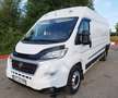 Fiat Ducato Maxi Multicab L4H2 - thumbnail 3